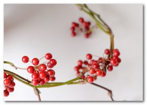 赤い実 サンキライ を材料にしたクリスマスリースの作り方 手作りクリスマスリース専門ブログ